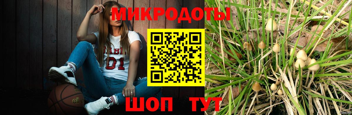 Подольск  Псилоцибиновые грибы Cubensis  купить наркотик  Вход с VPN 